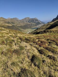 Photo de Kea Falkenauge le long du parcours