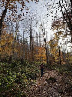 Fotó a Nikolaus Ludwig 1 honlapról a túra során