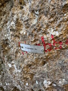 Photo de brosensteiner le long du parcours