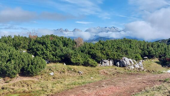 Photo de Thomas Berensmann le long du parcours