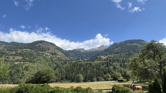 Foto von Daniela Brandstetter entlang der Tour