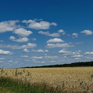 Foto de Rappuwe1 a lo largo del recorrido