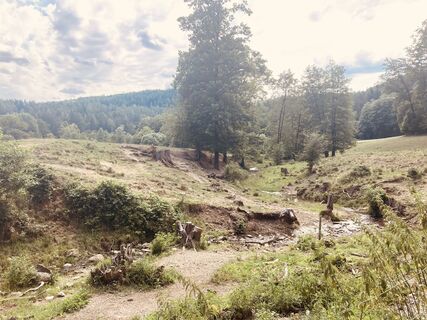 Fotografie z Robert Gerard na trase
