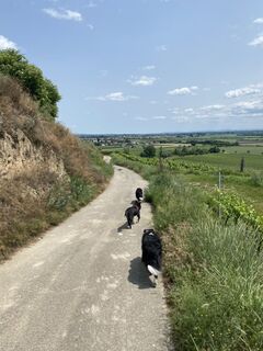 Foto von Florian Gerl entlang der Tour