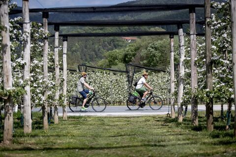 ApfelLand_Radfahren_Oststeiermark