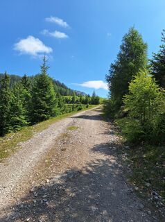 Fotografija s spletne strani Dagmar Hofer na poti