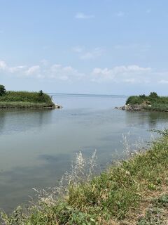 Fotografia z Gianberto Zilli na trase