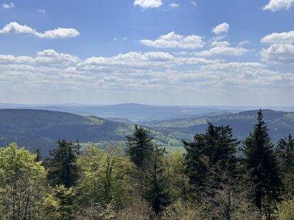 Foto von Norbert Herbig entlang der Tour