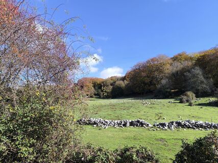 Foto de Gerry Girardi a lo largo del recorrido