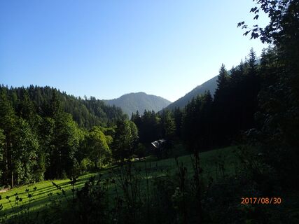 Forststraße Mühlbachtal