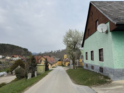 Foto von Yan Liu entlang der Tour