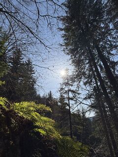 Foto de RS76 a lo largo del recorrido