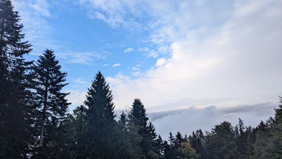Foto von Thomas Heß entlang der Tour