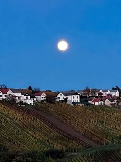 Foto von Martin Kramer 6 entlang der Tour