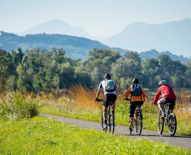 Radfahren auf dem Rheindamm in Ruggell