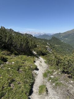 Fotografia z Grizzli na trase