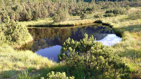 Fotografija s spletne strani István Gábor 1 na poti