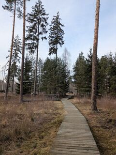 Photo de Hell-mood le long du parcours