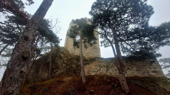 Foto de Regina Fleischmann a lo largo del recorrido