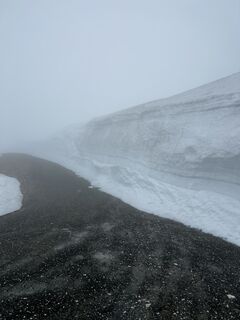 Foto von Schabsi entlang der Tour