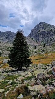 Fotografia z Fabrizi Mellano na trase