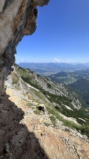 Fotografija s spletne strani Mountain Cat ? ⛰️ na poti
