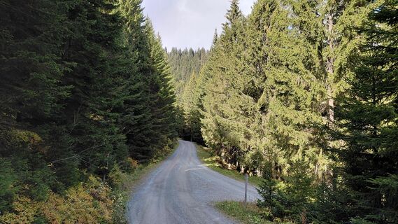 Foto von Wolfgang Arlic 1 entlang der Tour