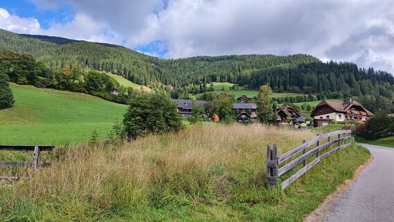 Zdjęcie z Elly23 wzdłuż trasy