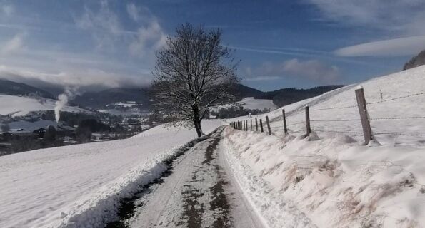 Winterwandern in St. Lambrecht