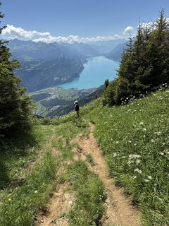 Foto von Rolf Knecht entlang der Tour