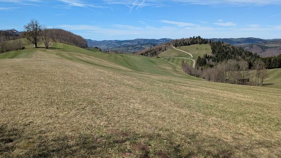 Fotografie z chrim na trase