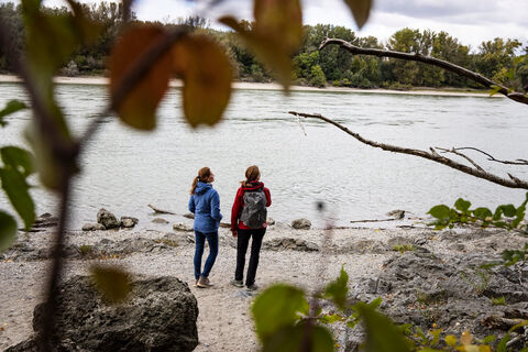 Wanderer in Hainburg