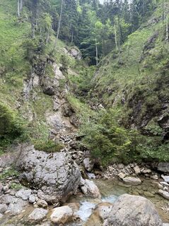 Fotografija s spletne strani Michi29 na poti