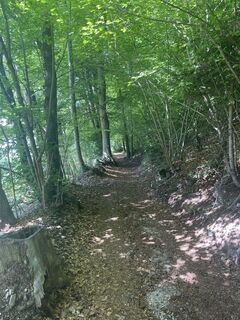 Foto von Martin.Salber entlang der Tour