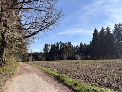 Foto de Nina Astleitner a lo largo del recorrido