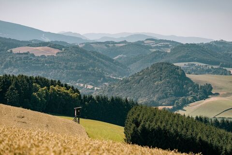 Hügelige Landschaft in Bad Schönau mit Feldern und Wäldern