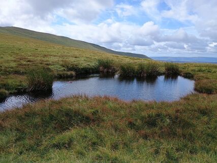 Фото с сайта JaapBergfex во время экскурсии