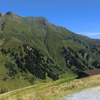 Wanderung auf der Gedauner Hochalm