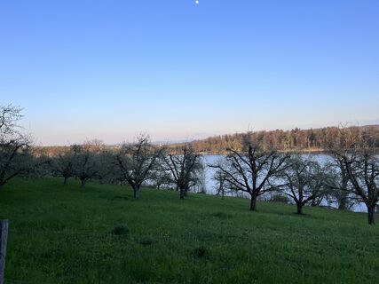 Fotografija s spletne strani Kathrin N. na poti
