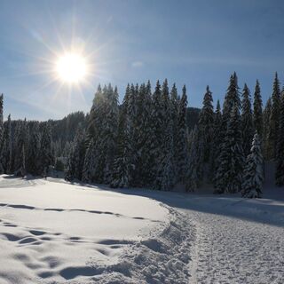 Winterlandschaft genießen