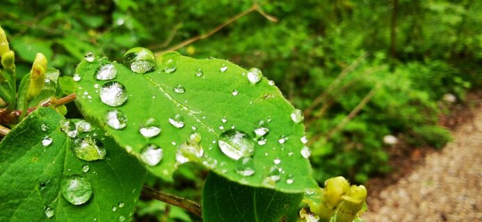 Foto von Klaus Lehner entlang der Tour