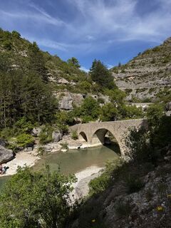 Fotografia z noddy suter na trase