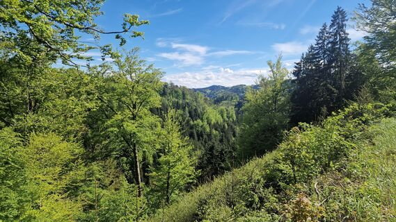 Foto von Daniel Fasching entlang der Tour