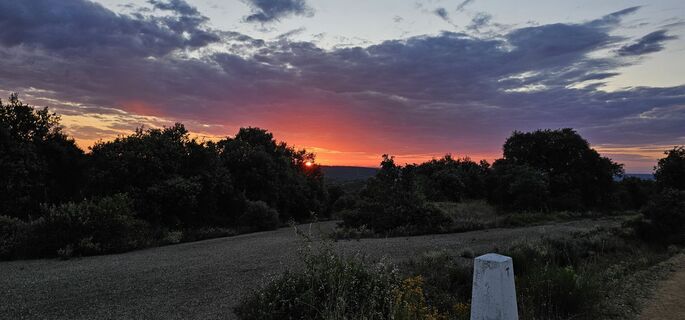 Fotografia z Péter Szelencsik na trase