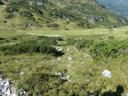weglose Abkürzung zum Brotrinnl