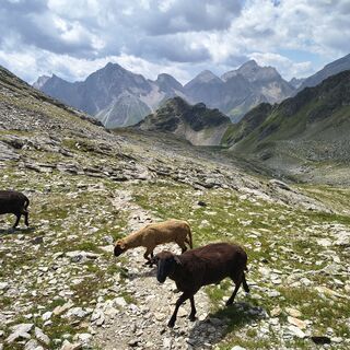 Foto de Gabriele Cucchi a lo largo del recorrido