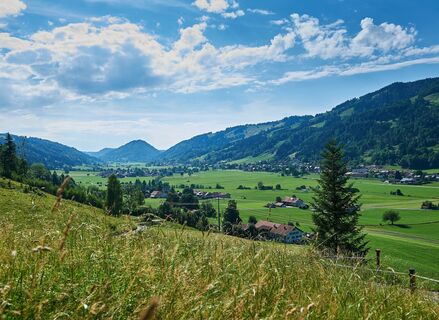 Blick übers Konstanzer Tal