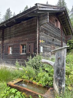 Photo de Sylvia Sellung le long du parcours