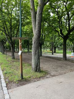 ..und dann hier rechts rein in die Botanik.