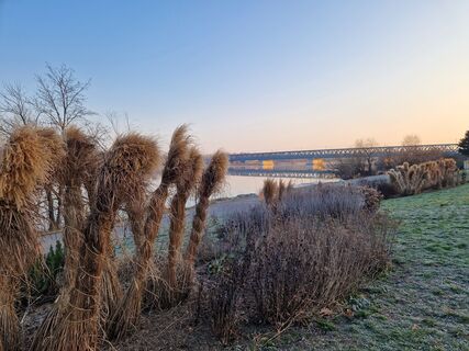 Donaubrücke